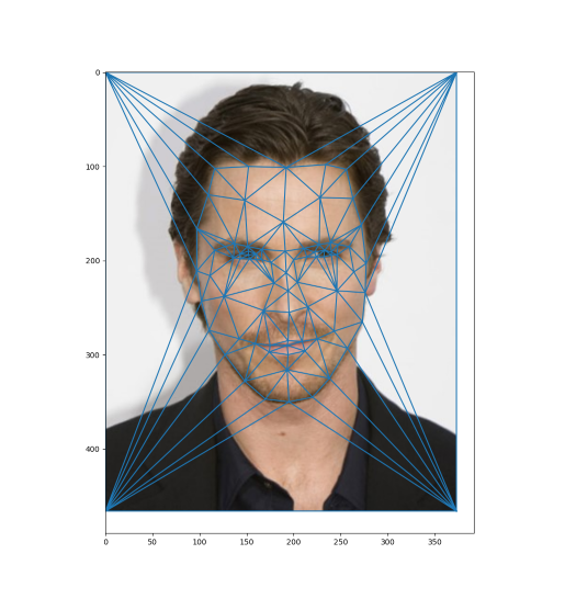 Resulting grid bale